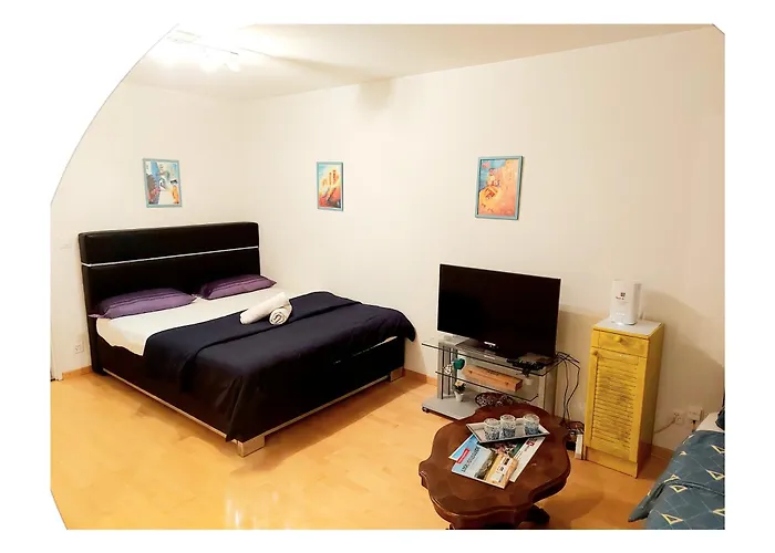 Ruhiges 2 Zimmer In Zentrum Apartman Bern